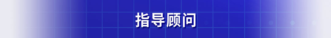 指导顾问