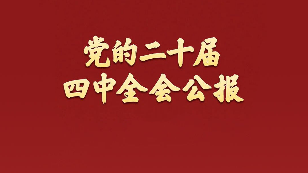 中国共产党第二十届中央委员会第四次全体会议公报　