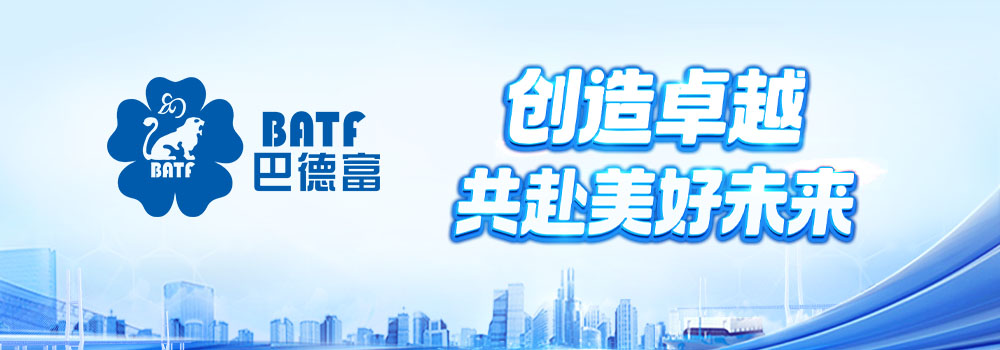 巴德富集团有限公司